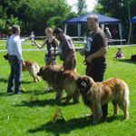 Landesgruppenschau M&uuml;hldorf am Inn 2013