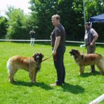 Landesgruppenschau M&uuml;hldorf am Inn 2013