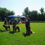 Landesgruppenschau M&uuml;hldorf am Inn 2013